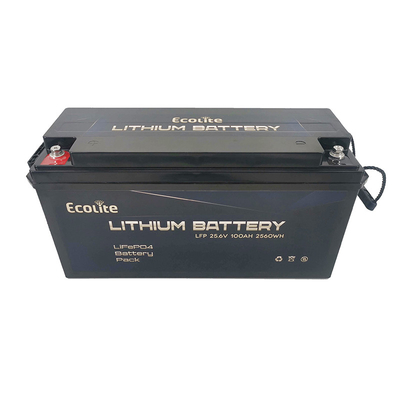 Hohe Dichte Schnellladung LifePO4 Lithiumbatterie 25,6V 100Ah 2560Wh