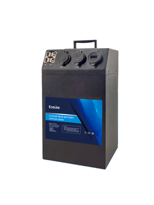 Benutzerdefinierte Protable-Leistung LiFePO4 Lithiumbatterie 12,8V 80Ah AC DC-Stromversorgung