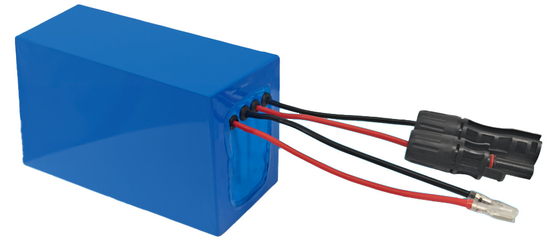 ECOLITE 24Volt Solar Tracker Lithiumbatterien für das Solarsystem