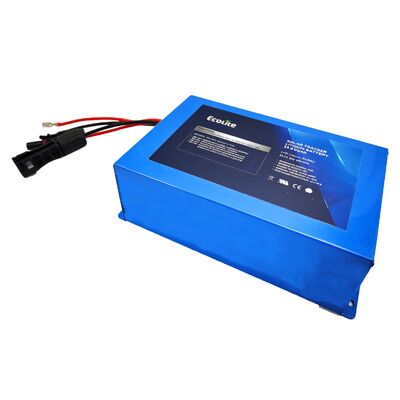 ECOLFP2409 25,6V 9Ah LFP-Solar-Tracker-Akku mittlerer Kapazität mit integriertem MPPT für verbesserte Laufzeit